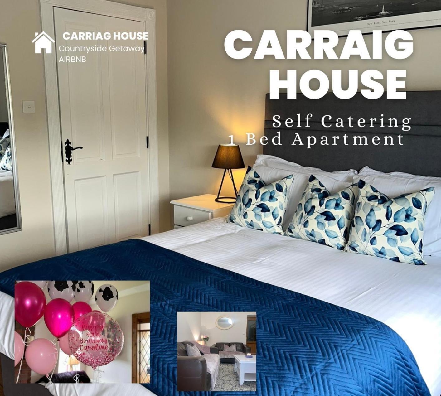 キャヴァンCarraig Houseアパートメント エクステリア 写真